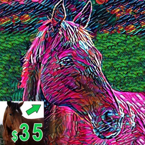 portrait horse